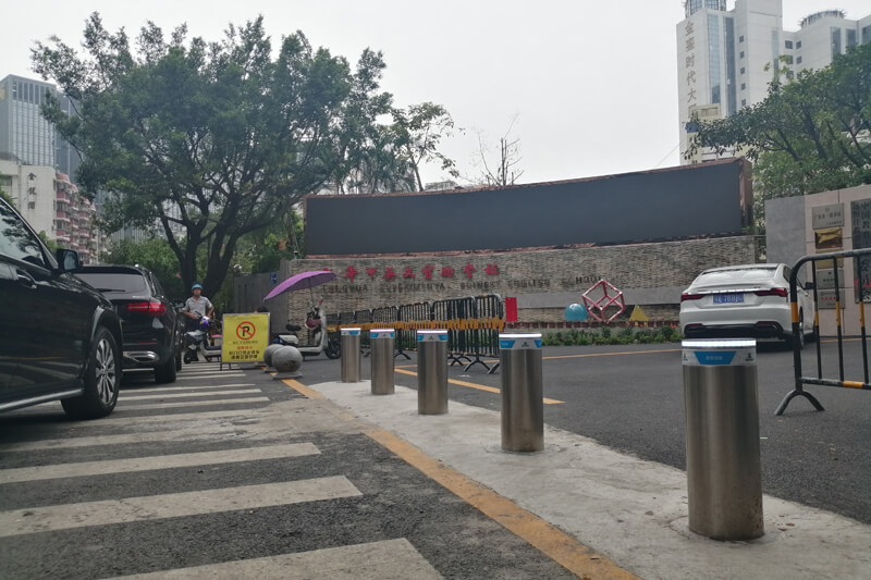 深圳市龙华区中英文学校